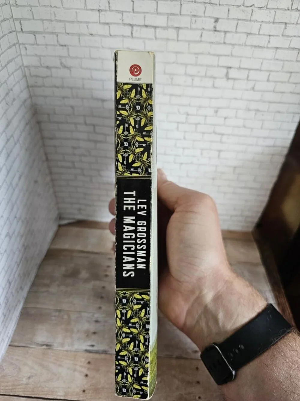 Lev Grossman The Magicians Plume 2010 Paperback Fantasy Novel Book 1